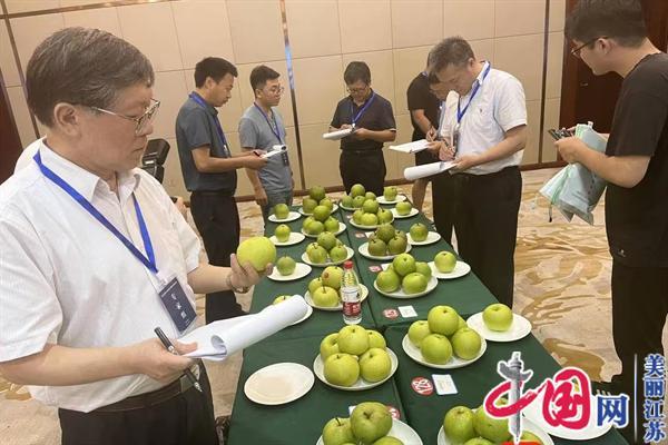 “要吃早熟梨 请到江苏来”江苏省第五届优质早熟梨品鉴在泰兴新街举行