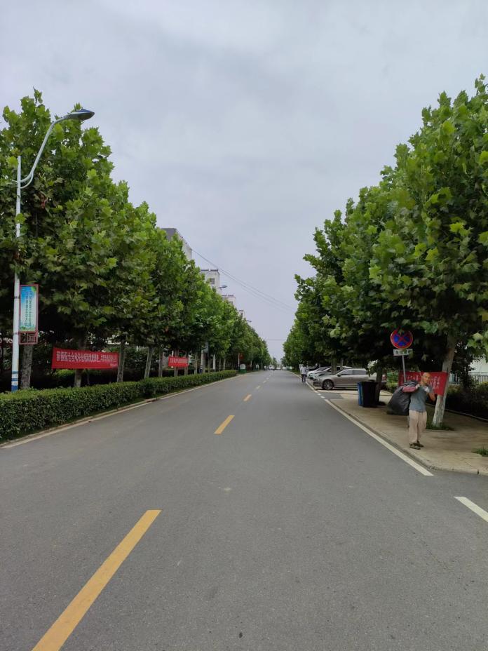 新农村典范：蓬勃发展的滁州市腰铺镇姑塘村