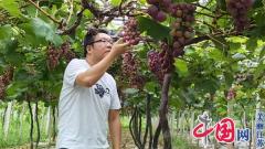 将心扎根基层 用情解决难题——中国人寿扬州市分公司驻村第一书记周光悦工作纪实