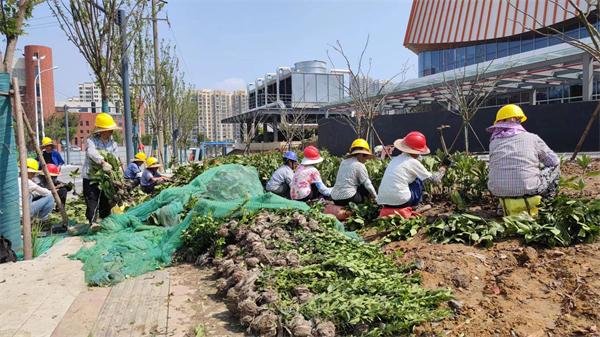 战高温、抢进度上海宝冶合肥市包河工人文化宫项目进入收尾冲刺阶段
