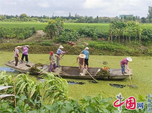 兴化市戴南镇刘纪村水陆并举推进村庄环境整治提升