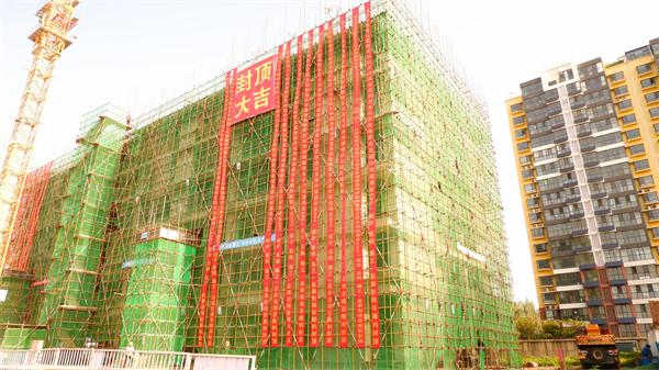 中建六局城建公司临沂市康复医院康复托养设施建设项目顺利封顶