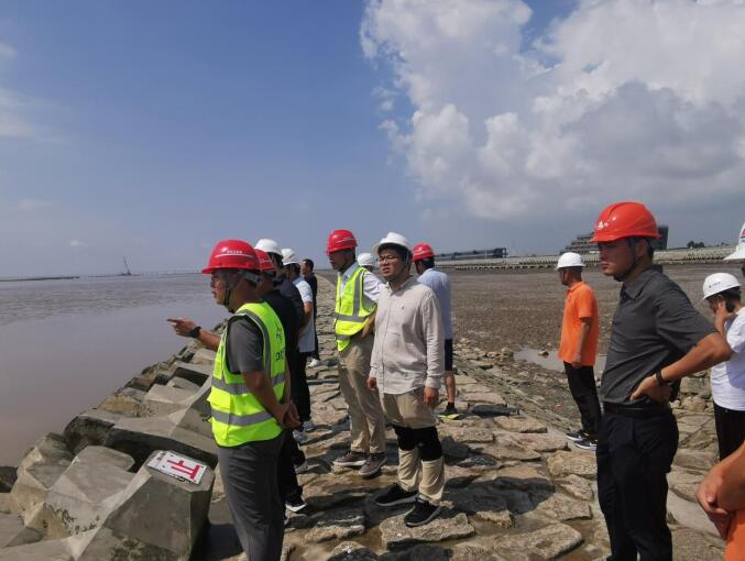 临港海洋生态修复项目首个单位工程消浪坝修复顺利通过验收
