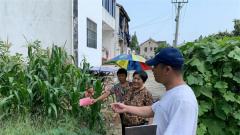 苏州旺巷村：打击毁绿种菜行为 着墨美丽乡村建设