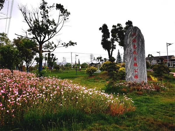 兴化市戴南镇裴马村：一个鲜花盛开的村庄