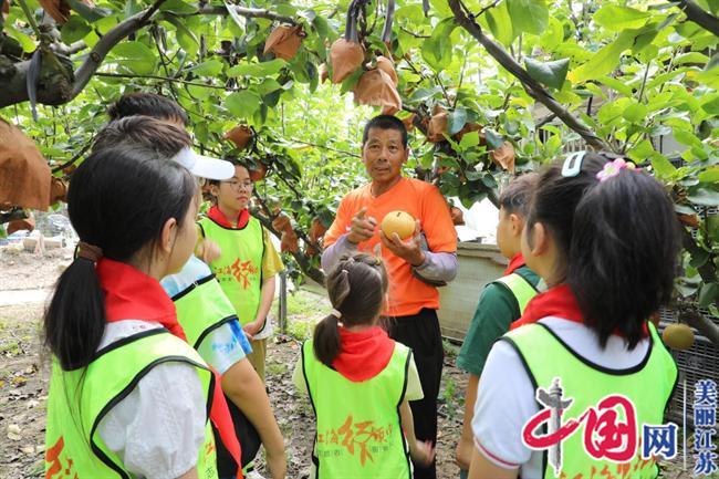 江心沙农场：果园里的“开学第一课” 让劳动教育“提味增鲜”