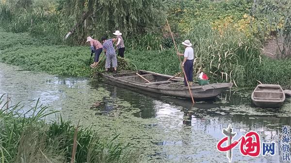 兴化市合陈镇邓桥村：整治河道水草杂物 营造清爽水质环境