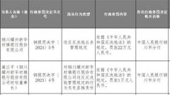 铜川耀州新华村镇银行违规被罚 为马鞍山农商行子公司