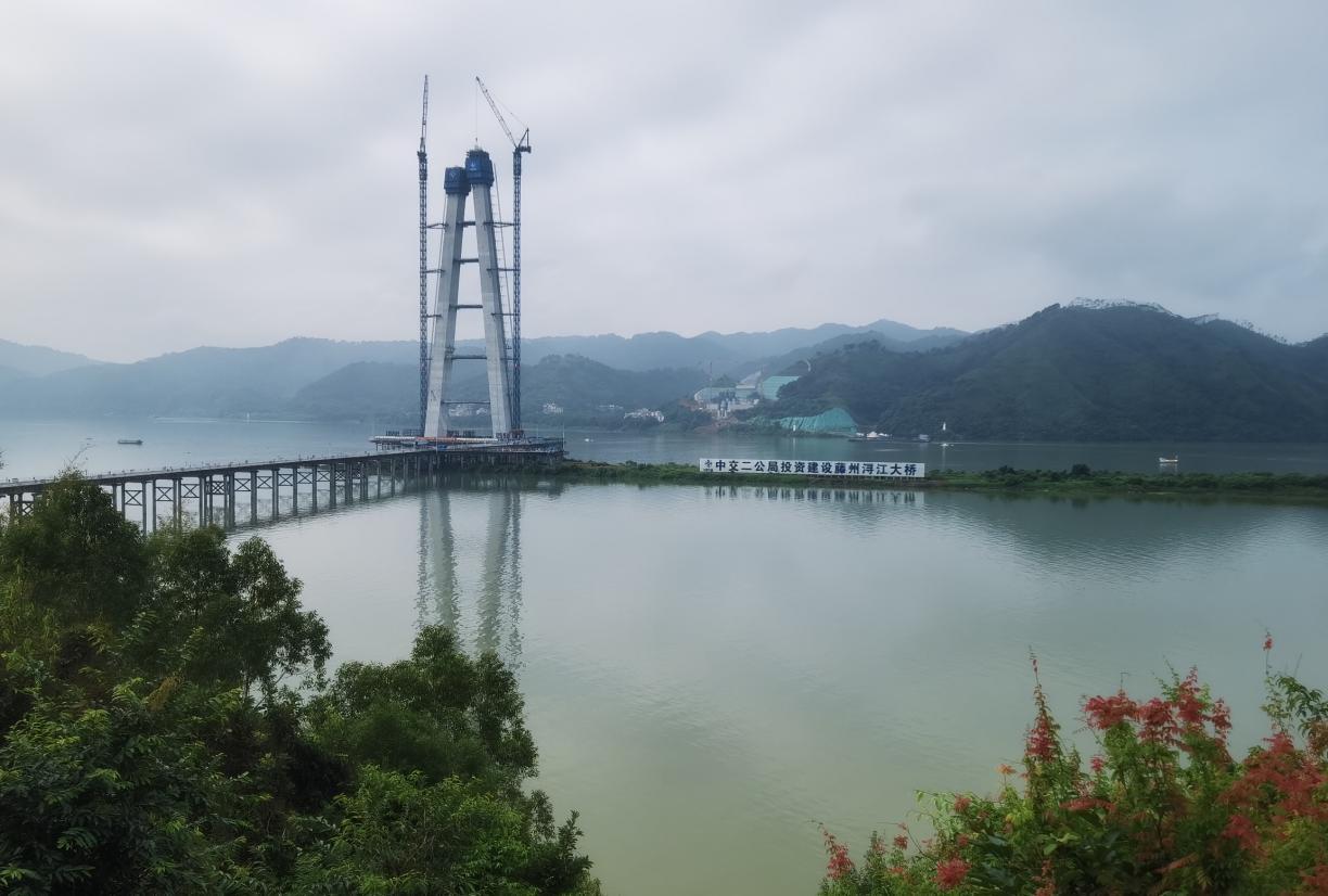 广西：世界首座独塔大跨径斜拉悬吊协作体系桥建设正酣