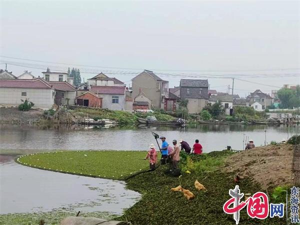 兴化市沈伦镇河长办开展“河道清洁”行动