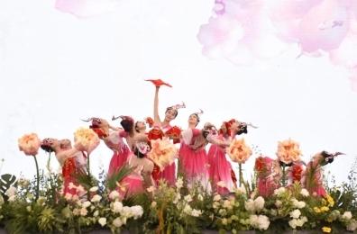 2023陕西长安花卉大会今日在长安公园盛大启幕