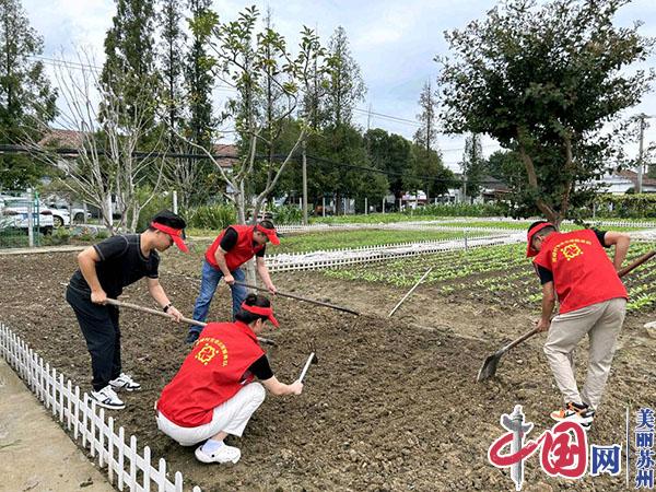 苏州相经开北桥灵峰村：党建“红”为菜园添新“绿”