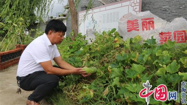 兴化沙沟李维月：坚持党建引领 实现强村民富