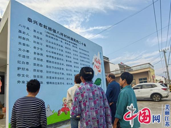 泰兴市虹桥镇：因村制宜“微自治” 基层治理有特色