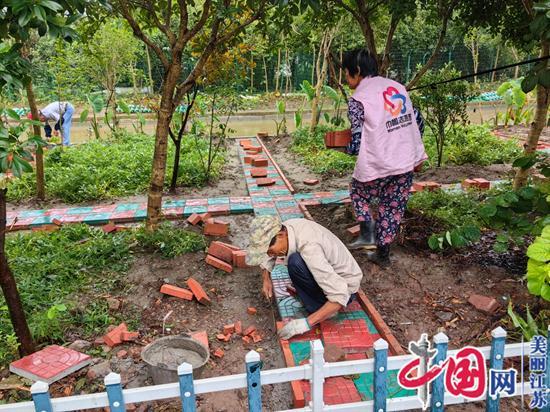 泰兴市虹桥镇八圩村妇联：打造美丽庭院 共建幸福家园