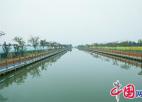 江心沙农场：河堤换新颜 变身打卡地