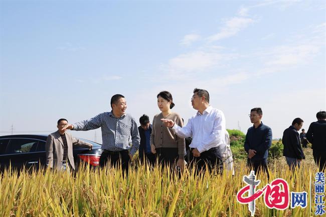苏垦南通公司喜迎泰兴市分界镇领导考察农业产业情况