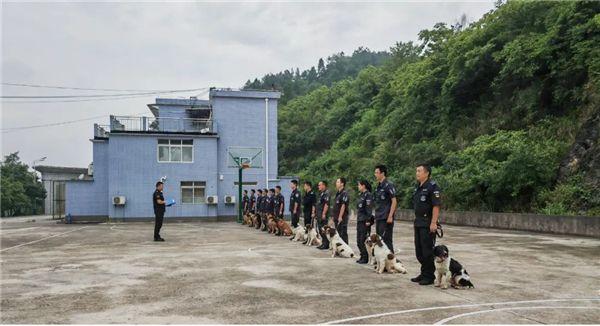 瓮安公安：“五项举措”打造一流警犬技术尖兵队伍