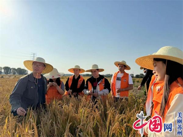 稻花香里说丰年 以青春力量 助乡村振兴——苏州黄桥街道生田村团支部开展“青年大学习”线下活动