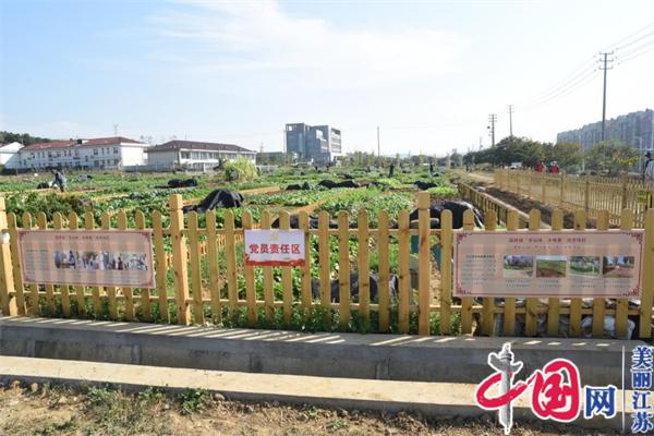 南京溧水晶桥镇：党建引领 小菜园种出基层大治理