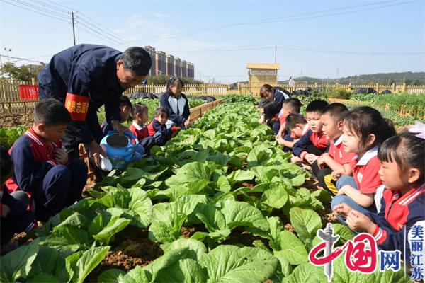 南京溧水晶桥镇：党建引领 小菜园种出基层大治理