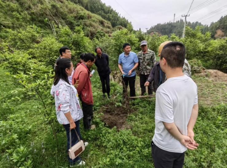 湖南桂东：优化营商环境 助推林业高质量发展