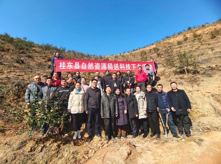 湖南桂东：优化营商环境 助推林业高质量发展