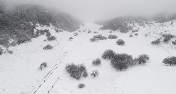 近十年最早降雪 重庆仙女山迎2023年冬第一场雪