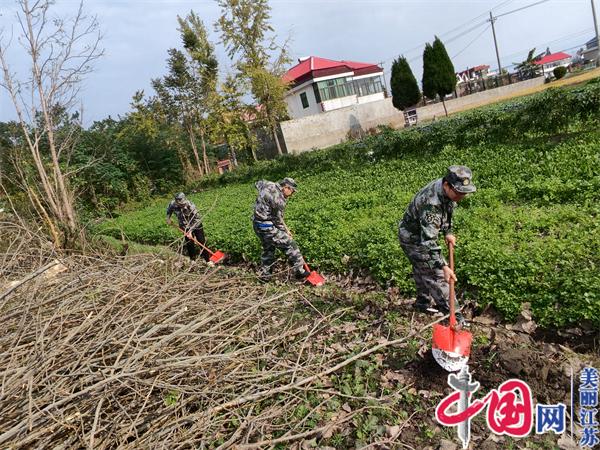 南通市平潮镇：服务群众暖心田 民兵助农在行动