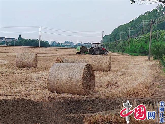 泰兴市虹桥镇蒋华村：村企联建秸秆综合利用项目每年增加村集体和群众务工收入超百万元