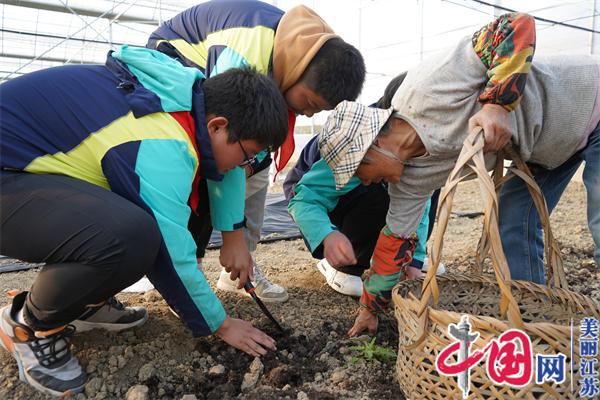 实践基地解码劳动力量 宜兴芳桥厚植青少年成长沃土