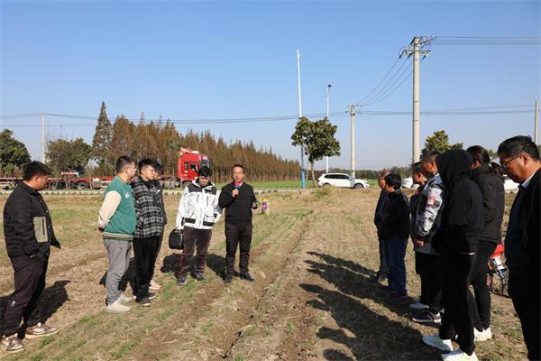 苏垦农发江心沙分公司：田间精准“把脉” 稳住丰产丰收“基本盘”