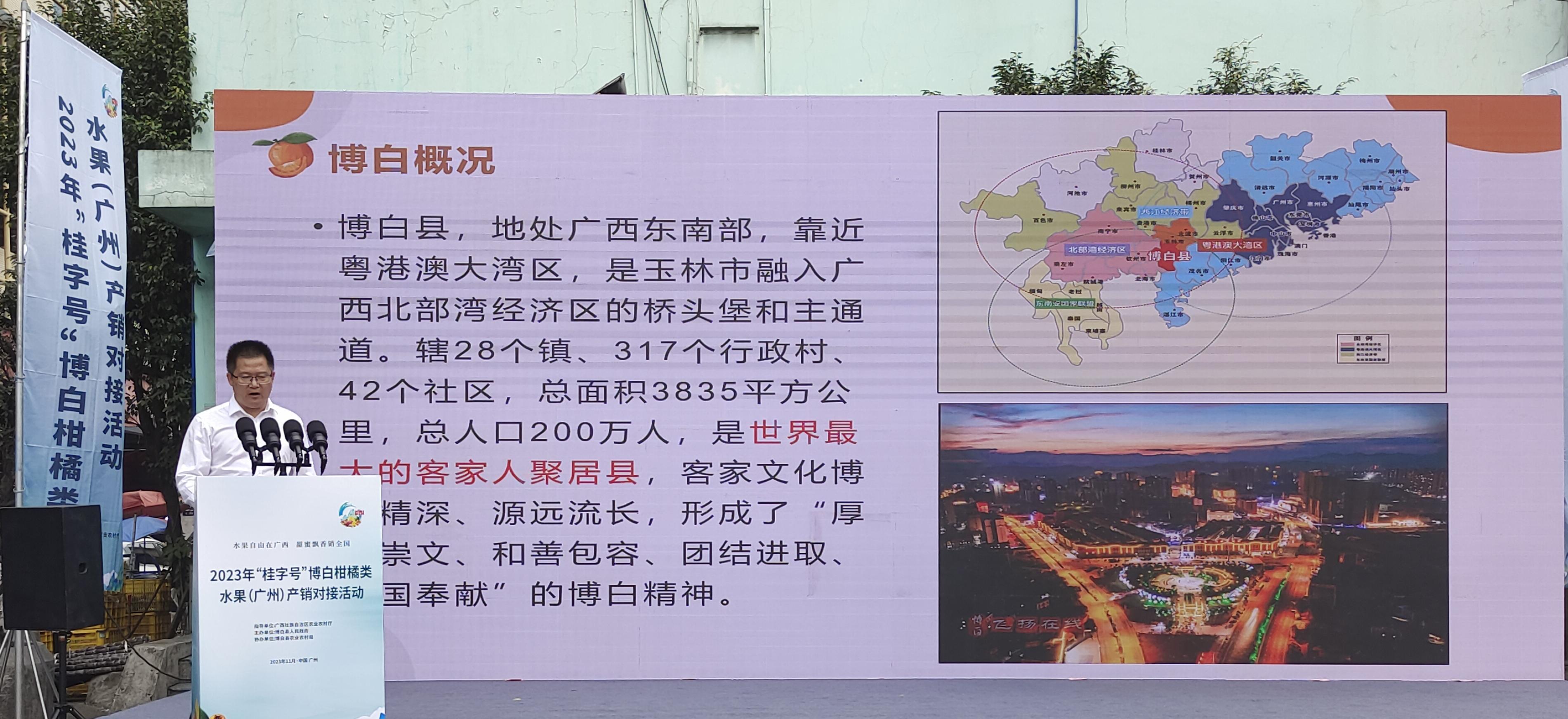 柑橘飘香销全国 产销对接订单忙：2023年“桂字号”博白柑橘类水果（广州）产销对接活动成功举办