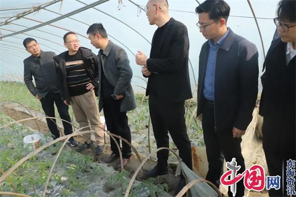 江苏省农学会秘书长李宗芳带队到兴化市陈堡镇调研番茄种植情况