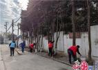 苏州北渔社区：500余棵树木“穿白裙” 防虫保暖又亮颜