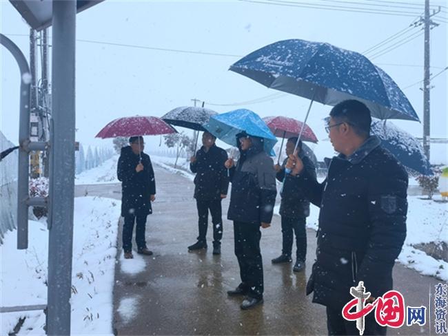 泰兴市农业农村局：闻“雪”而动显担当吹响抗灾“集结号”(图1)