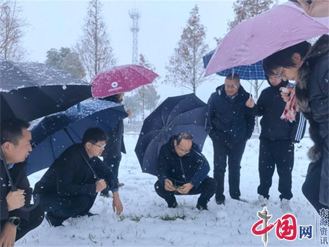 泰兴市农业农村局：闻“雪”而动显担当吹响抗灾“集结号”(图2)