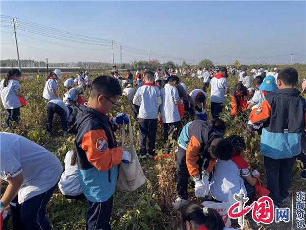 兴化大垛镇管阮村获评2023年江苏省中小学生劳动教育与综合实践优秀基地