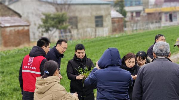 江苏人保理赔服务跑出加速度 3天完成90%雪灾农险赔付