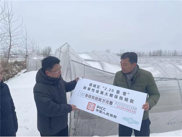 江苏人保理赔服务跑出加速度 3天完成90%雪灾农险赔付