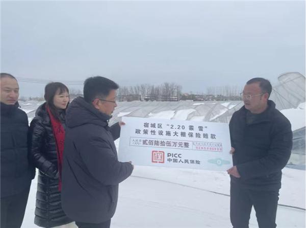 江苏人保理赔服务跑出加速度 3天完成90%雪灾农险赔付