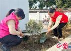 苏州黄埭镇“红色”志愿队积极参与绿色环保行动