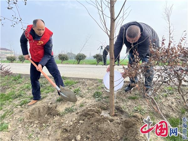 泰州医药高新区(高港区)胡庄镇退役军人服务站：植树造林添新绿 退役军人来助力