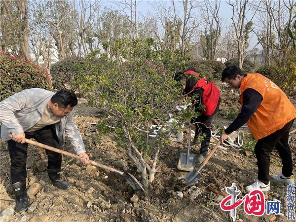 苏州大庄村开展植树节活动