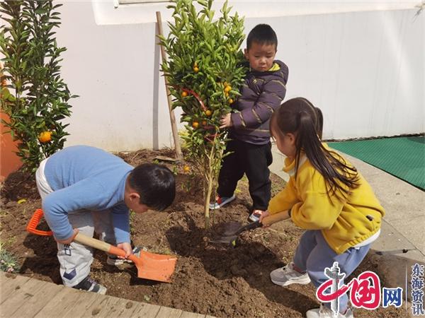 “植”此青绿 约定春天——苏州黄桥中心幼儿园开展植树节系列活动