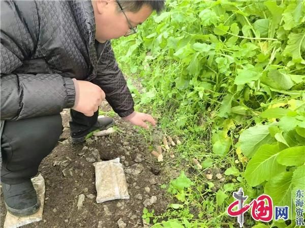 敢闯敢干 蒋礼祥沈伦建起大型柑橘种植基地