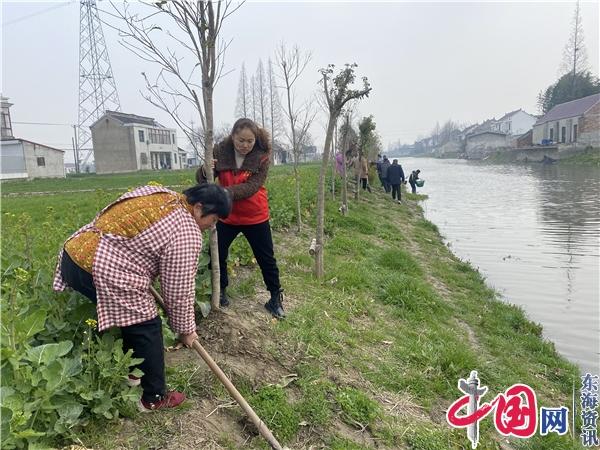 江苏省如皋市城南街道明池村：“植”此青绿 共筑美好家园