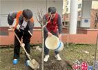 苏州工业园区新馨社区：手植一抹绿 馨伴共成林