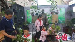 如皋市如城小学：以生为本助成长 五育并举促发展