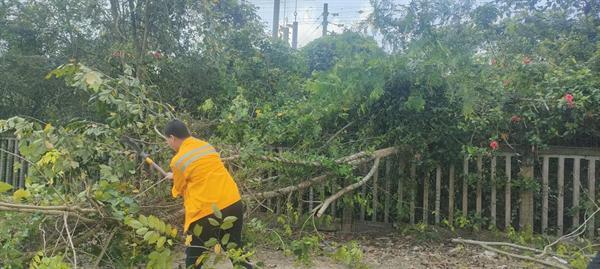 强化海南环岛高铁路外环境排查治理 为博鳌亚洲论坛年会助力